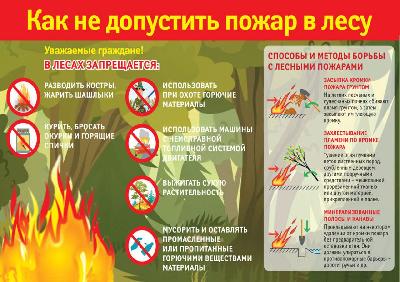 Как не допустить пожар в лесу?