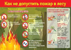 Как не допустить пожар в лесу?